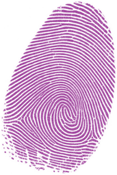 jayam thumbprint purple